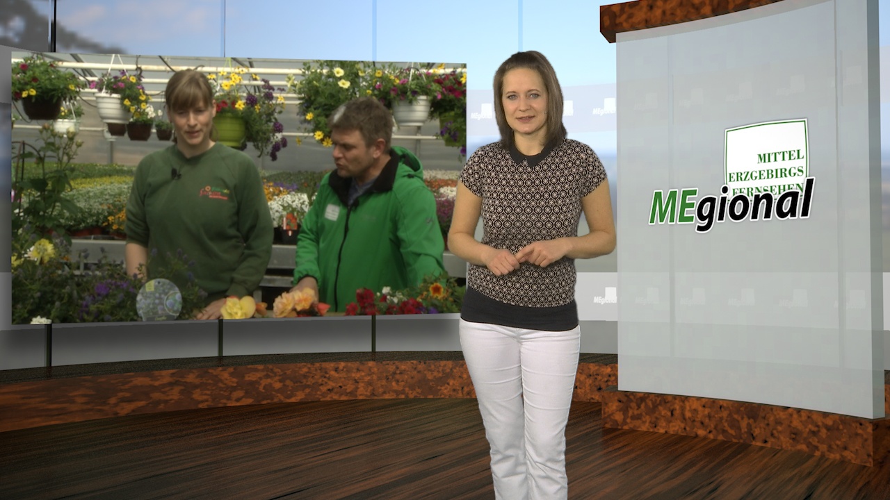 MEgional mit Informationen zur Pflanze des Jahres MEgional mit Informationen zur Pflanze des Jahres