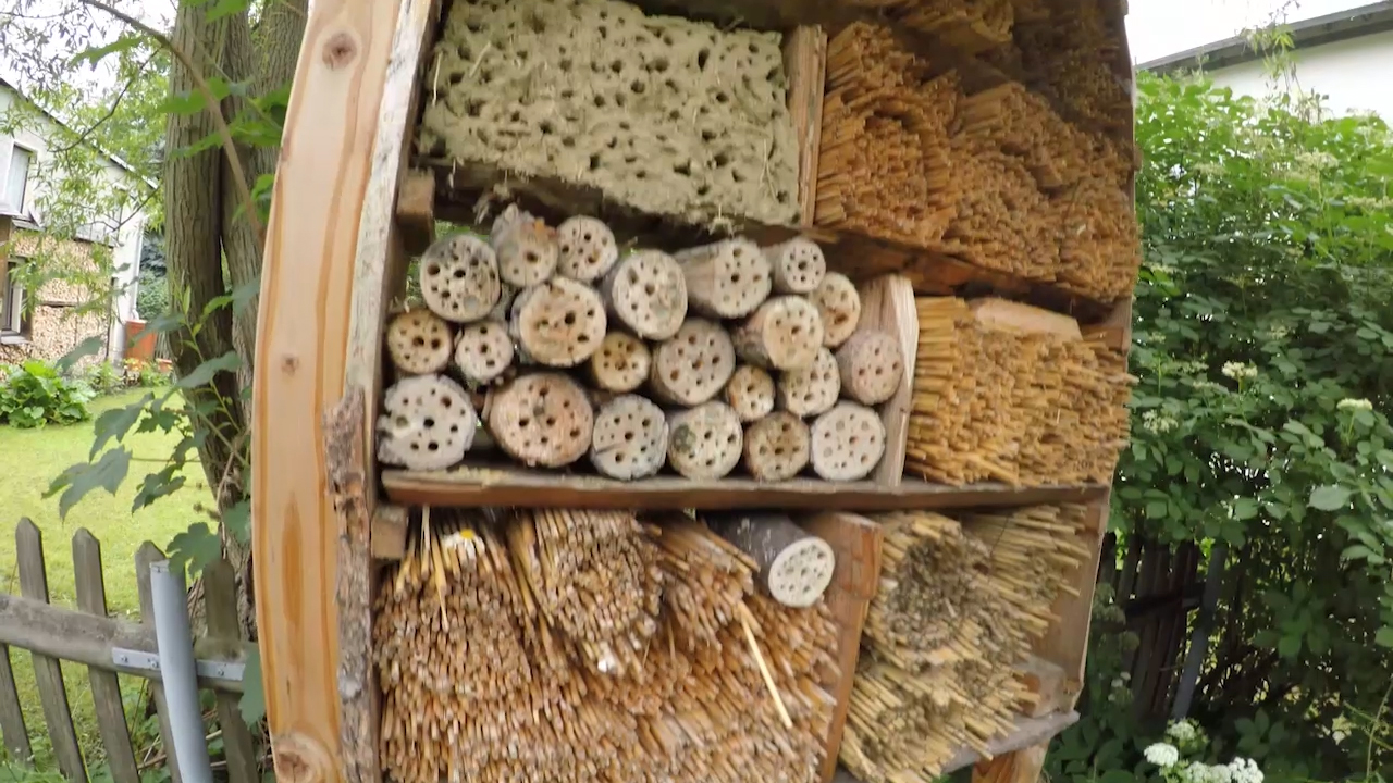 MEgional heute mit dem ausgezeichneten Schulgarten am Gymnasium Marienberg MEgional heute mit dem ausgezeichneten Schulgarten am Gymnasium Marienberg